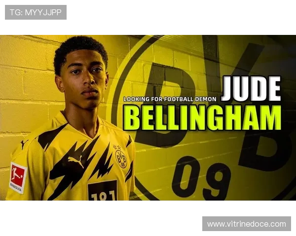 贝林厄姆领导力评价